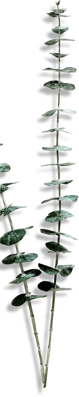 Background decoration