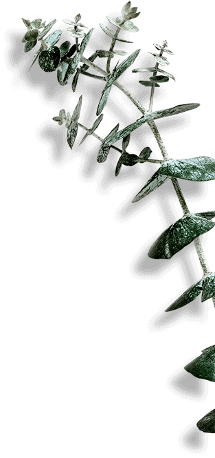 Background decoration