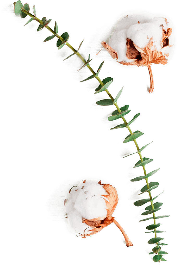 Background decoration